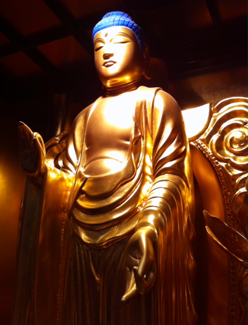 �����������������C���[�W